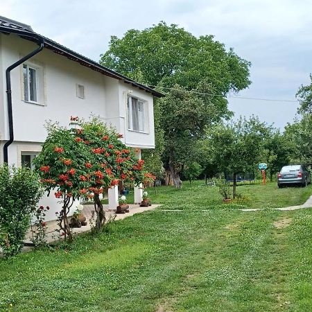 Casa Pandrea Pensionat Cîrţişoara Eksteriør billede