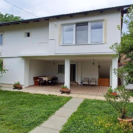 Casa Pandrea Pensionat Cîrţişoara Eksteriør billede