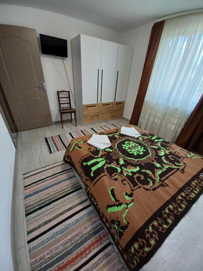 Casa Pandrea Pensionat Cîrţişoara Eksteriør billede