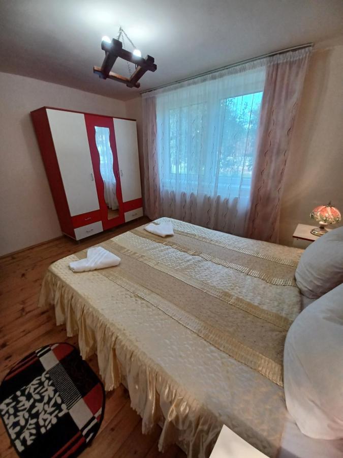Casa Pandrea Pensionat Cîrţişoara Eksteriør billede