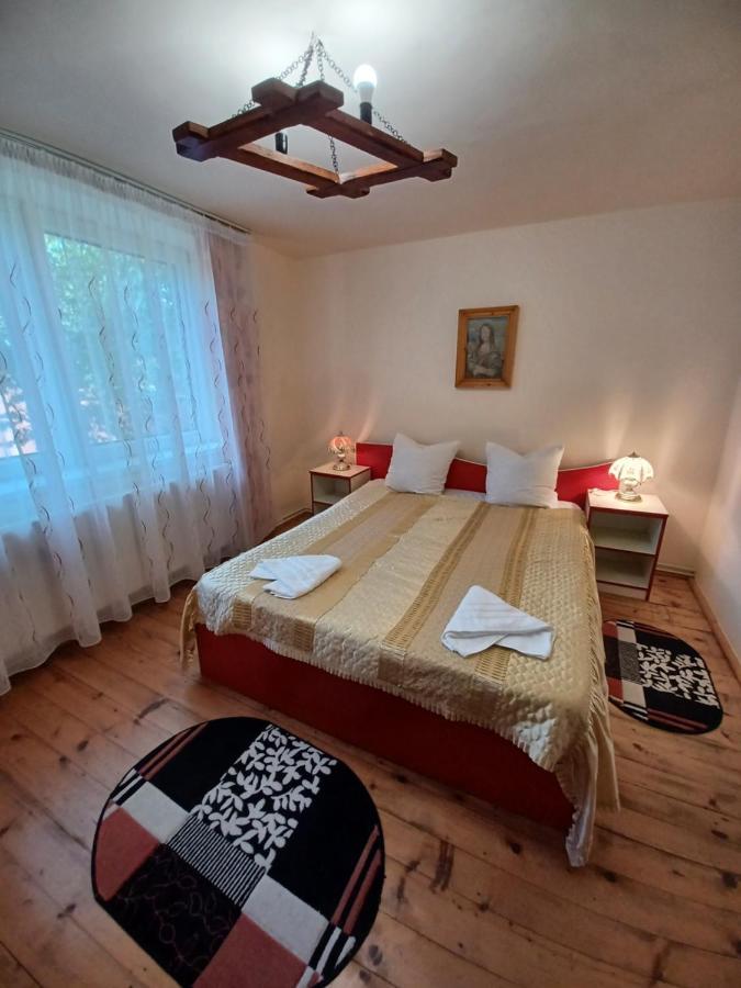Casa Pandrea Pensionat Cîrţişoara Eksteriør billede