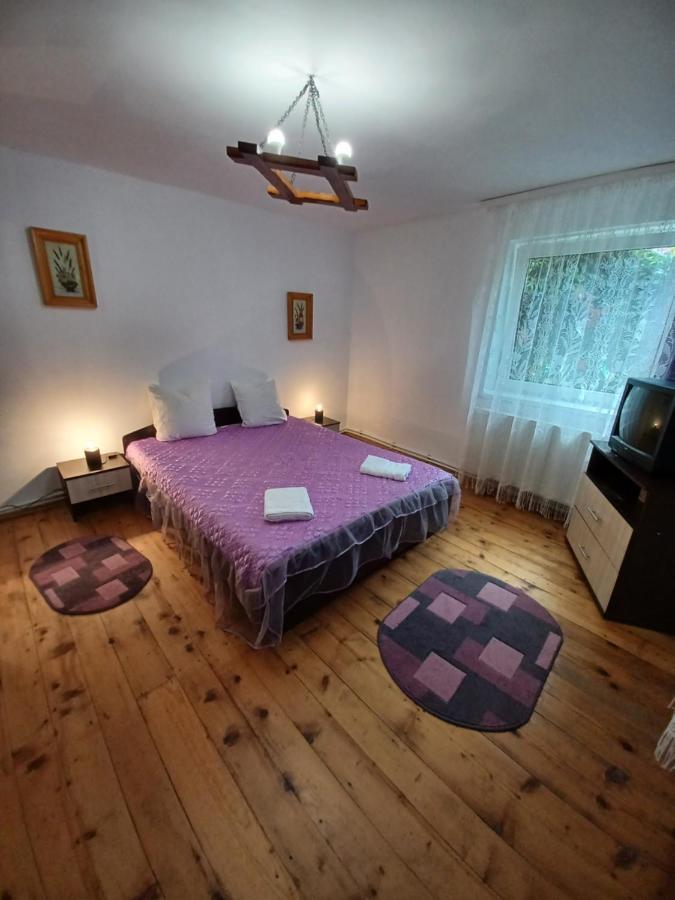 Casa Pandrea Pensionat Cîrţişoara Eksteriør billede