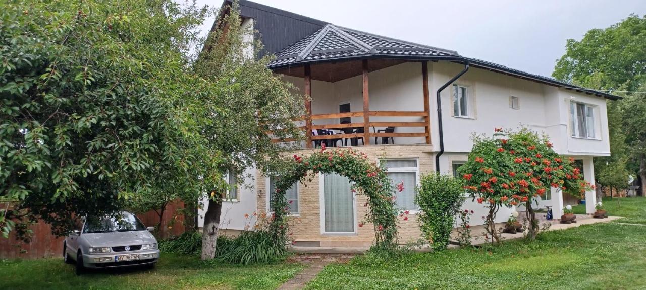 Casa Pandrea Pensionat Cîrţişoara Eksteriør billede