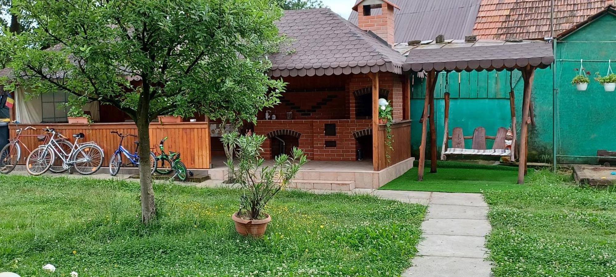 Casa Pandrea Pensionat Cîrţişoara Eksteriør billede